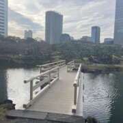 ヒメ日記 2024/12/12 08:00 投稿 ゆり 人妻花かんざし