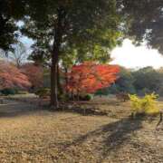 ヒメ日記 2024/12/13 08:50 投稿 ゆり 人妻花かんざし