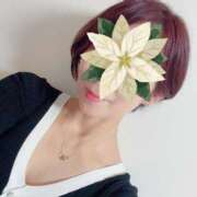 ヒメ日記 2024/12/15 08:00 投稿 ゆり 人妻花かんざし