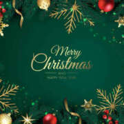 ヒメ日記 2024/12/24 08:00 投稿 ゆり 人妻花かんざし