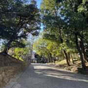 ヒメ日記 2025/01/13 17:42 投稿 ゆり 人妻花かんざし