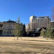 ヒメ日記 2025/01/16 08:49 投稿 ゆり 人妻花かんざし