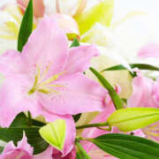 ヒメ日記 2025/01/21 08:00 投稿 ゆり 人妻花かんざし