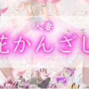 ヒメ日記 2025/02/04 22:00 投稿 ゆり 人妻花かんざし