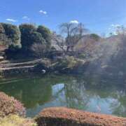 ヒメ日記 2025/02/06 14:00 投稿 ゆり 人妻花かんざし