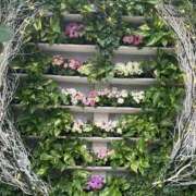 ヒメ日記 2025/02/22 08:59 投稿 ゆり 人妻花かんざし