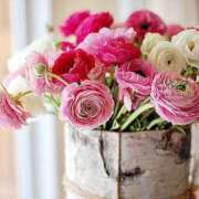 ヒメ日記 2025/02/23 08:36 投稿 ゆり 人妻花かんざし