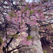 ヒメ日記 2025/03/07 15:00 投稿 ゆり 人妻花かんざし