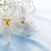 ヒメ日記 2025/03/17 16:42 投稿 ゆり 人妻花かんざし