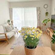 ヒメ日記 2025/04/03 17:23 投稿 ゆり 人妻花かんざし