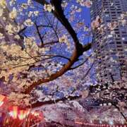 ヒメ日記 2025/04/07 20:11 投稿 ゆり 人妻花かんざし