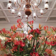 ヒメ日記 2025/05/01 16:29 投稿 ゆり 人妻花かんざし