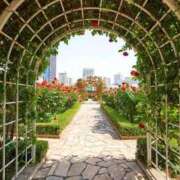 ヒメ日記 2025/05/16 15:09 投稿 ゆり 人妻花かんざし