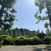 ヒメ日記 2025/05/20 14:02 投稿 ゆり 人妻花かんざし