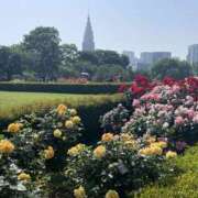 ヒメ日記 2025/05/21 08:00 投稿 ゆり 人妻花かんざし