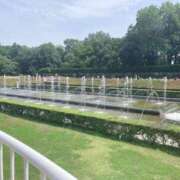 ヒメ日記 2025/05/22 13:20 投稿 ゆり 人妻花かんざし