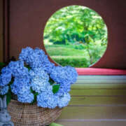 ヒメ日記 2025/06/09 16:14 投稿 ゆり 人妻花かんざし