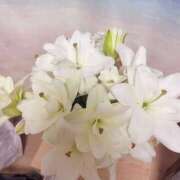 ヒメ日記 2025/06/21 16:30 投稿 ゆり 人妻花かんざし