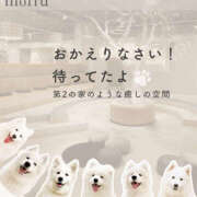 ヒメ日記 2025/06/24 08:00 投稿 ゆり 人妻花かんざし