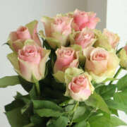 ヒメ日記 2025/07/05 08:00 投稿 ゆり 人妻花かんざし