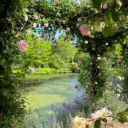 ヒメ日記 2025/07/05 17:40 投稿 ゆり 人妻花かんざし