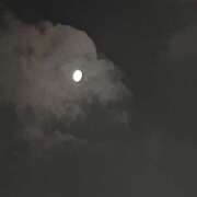 ヒメ日記 2025/07/08 21:43 投稿 ゆり 人妻花かんざし