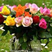 ヒメ日記 2025/07/09 08:00 投稿 ゆり 人妻花かんざし