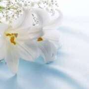 ヒメ日記 2025/07/10 08:00 投稿 ゆり 人妻花かんざし