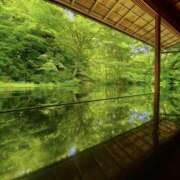 ヒメ日記 2025/07/28 08:31 投稿 ゆり 人妻花かんざし