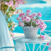 ヒメ日記 2025/08/04 15:02 投稿 ゆり 人妻花かんざし