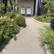 ヒメ日記 2025/08/28 19:41 投稿 ゆり 人妻花かんざし