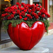 ヒメ日記 2025/09/07 09:00 投稿 ゆり 人妻花かんざし