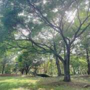 ヒメ日記 2025/09/22 08:00 投稿 ゆり 人妻花かんざし