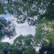 ヒメ日記 2025/09/29 17:00 投稿 ゆり 人妻花かんざし