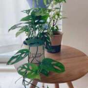 ヒメ日記 2025/10/13 08:00 投稿 ゆり 人妻花かんざし