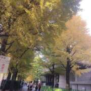 ヒメ日記 2025/11/21 16:47 投稿 ゆり 人妻花かんざし