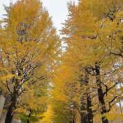 ヒメ日記 2025/11/27 17:00 投稿 ゆり 人妻花かんざし