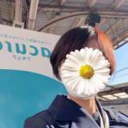 ヒメ日記 2026/03/14 16:24 投稿 ゆり 人妻花かんざし