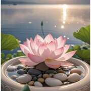 ヒメ日記 2026/03/19 08:00 投稿 ゆり 人妻花かんざし