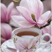 ヒメ日記 2026/03/22 08:00 投稿 ゆり 人妻花かんざし