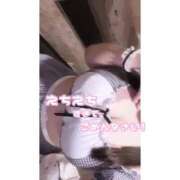 ヒメ日記 2024/12/15 12:48 投稿 めい ぽちゃかわ専門店　ぽちゃぽちゃイケてる