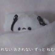 ヒメ日記 2025/09/15 10:29 投稿 めい ぽちゃかわ専門店　ぽちゃぽちゃイケてる