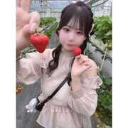 ヒメ日記 2026/04/16 13:16 投稿 めい ぽちゃかわ専門店　ぽちゃぽちゃイケてる