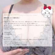 ヒメ日記 2026/04/28 20:08 投稿 めい ぽちゃかわ専門店　ぽちゃぽちゃイケてる