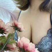 ヒメ日記 2025/04/10 12:54 投稿 はな ぷるるんマダム 難波店