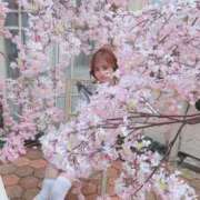 ヒメ日記 2026/04/02 21:36 投稿 ゆず E+アイドルスクール