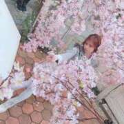 ヒメ日記 2026/04/05 22:06 投稿 ゆず E+アイドルスクール