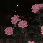 ヒメ日記 2025/03/11 23:11 投稿 さおり 池袋マリン本店