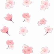 ヒメ日記 2025/04/05 23:05 投稿 さおり 池袋マリン本店