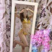 ヒメ日記 2025/06/24 09:00 投稿 ユキナ バニーコレクション新潟店